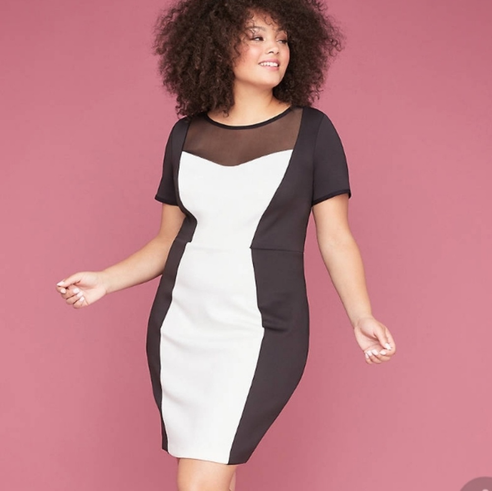 🆕️ Lane Bryant Sheath Dress Size 24